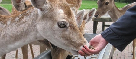 Baantraject Care en Preventie 