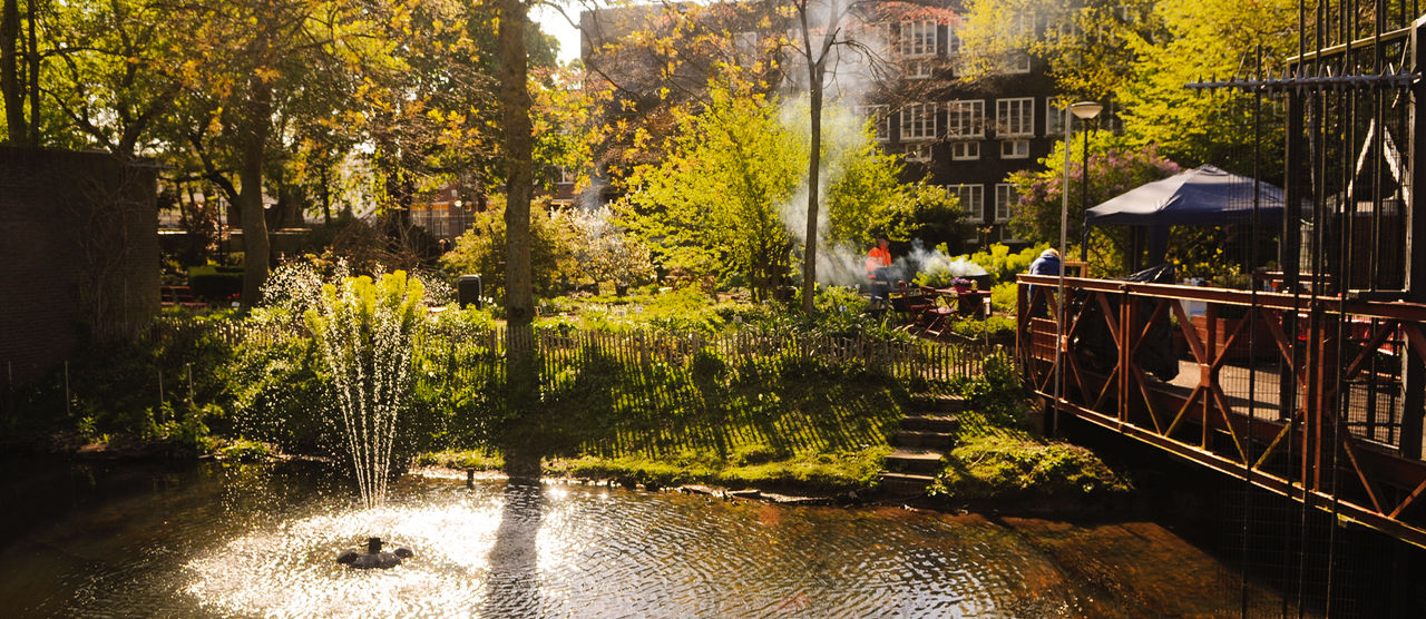 Botanische Tuin Afrikaanderwijk