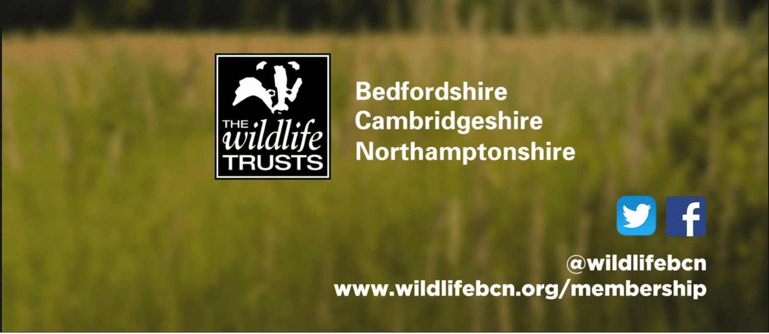 The Wildlife Trust BCN (South Cambs)