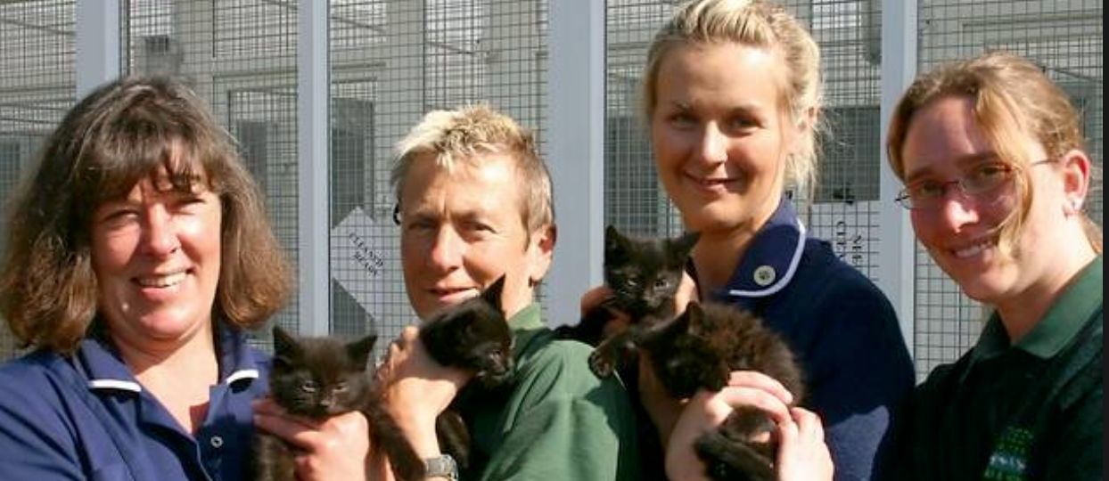 Wood Green, The Animals Charity (Heydon)