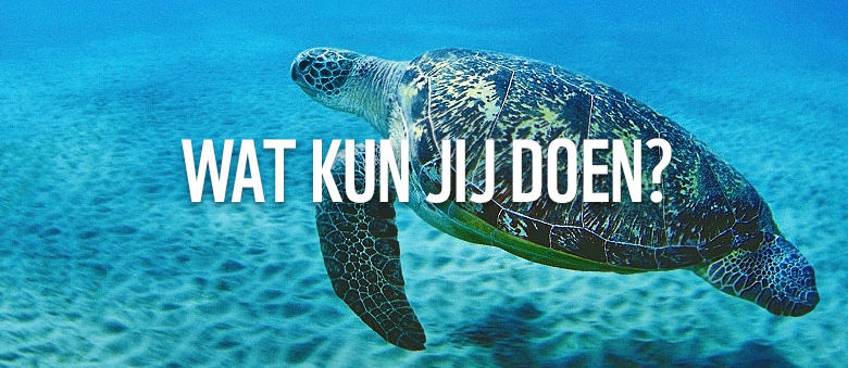 WNF Rotterdam & Drechtsteden