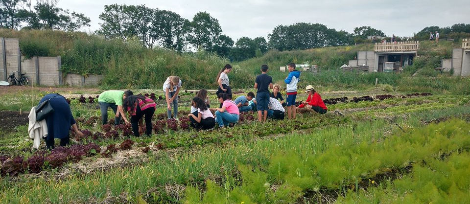 Pluk! Groenten van West. 