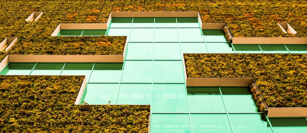 Vrijwilligerscentrale Venlo