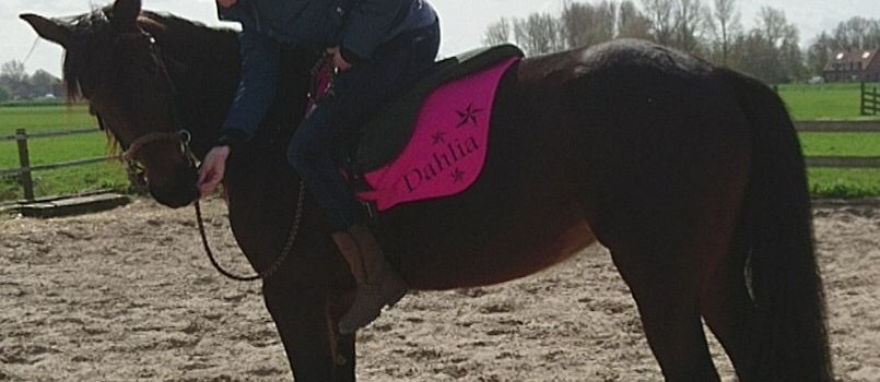 Holistische kindermanege Bosch en Vaart 