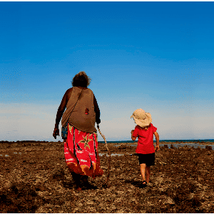 Down to Earth Collective