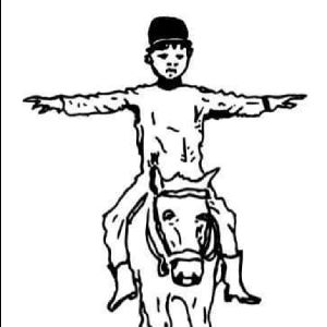 Stichting Balansruiters