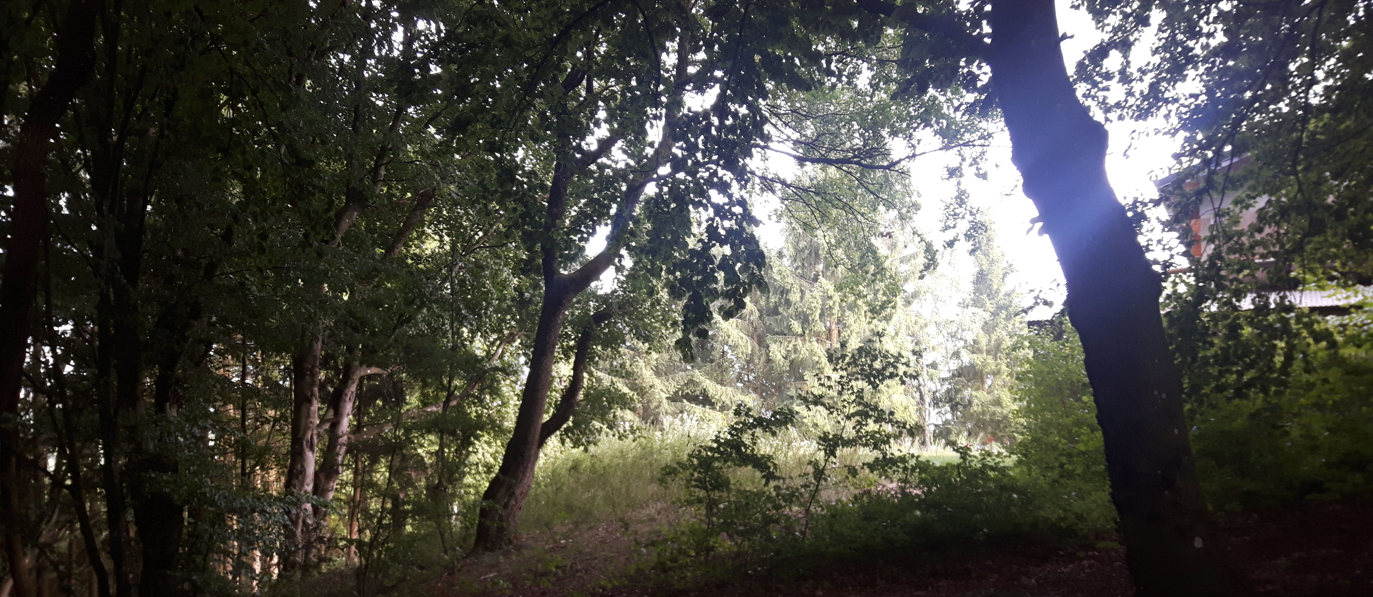 Het Bewaarde Land ivn.