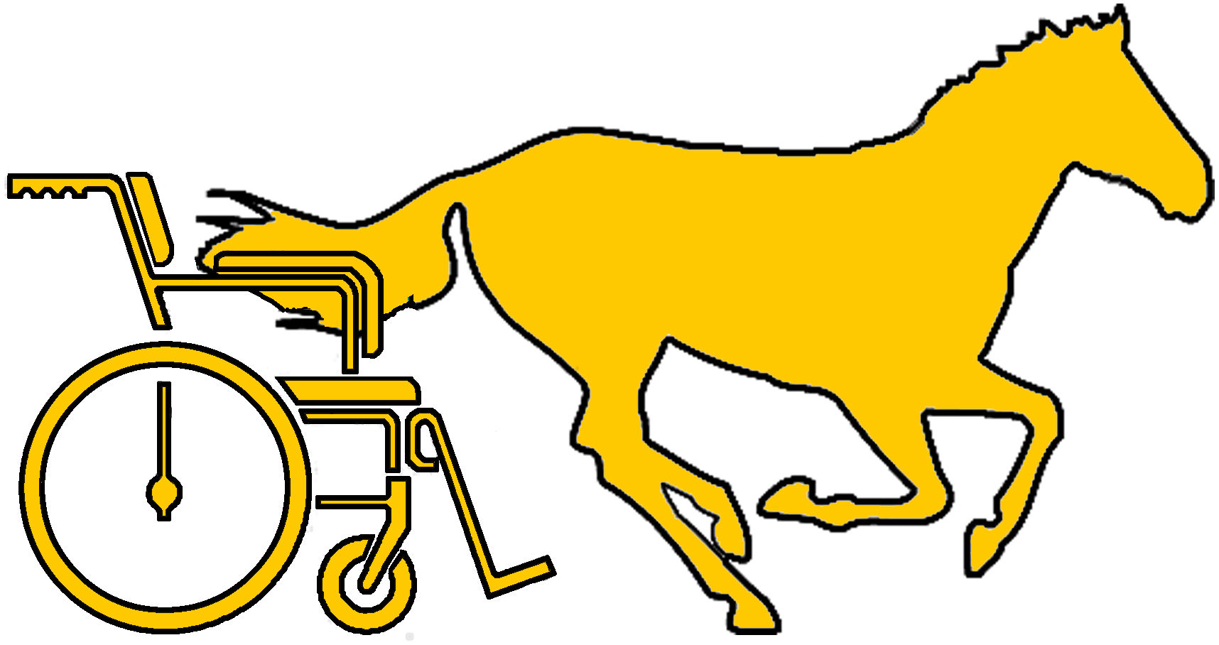 Stichting Paardrijden Gehandicapten Apeldoorn