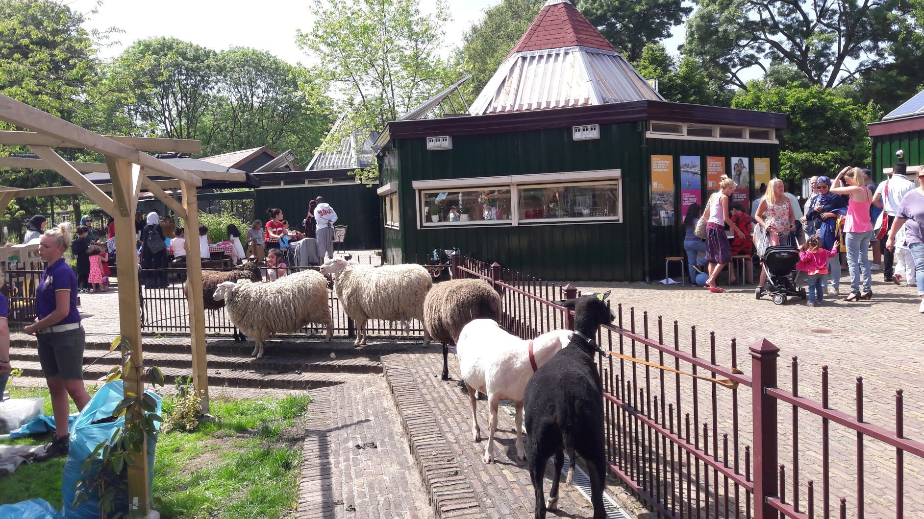 Utrecht Natuurlijk - Stadsboerderij Gagelsteede