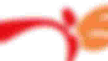 Praktijkcoach VluchtelingenWerk