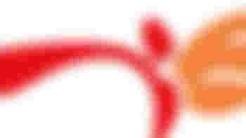 Praktijkcoach VluchtelingenWerk