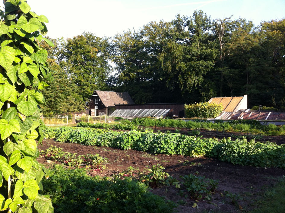 Hulp bij het begeleiden van dagbesteding voor dementerende ouderen