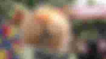 Let us know how you can help!