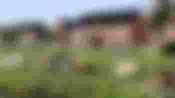 Kom je helpen op de kinderboerderij?