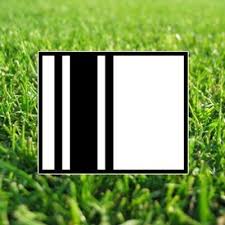 V.V. Klein Dochteren