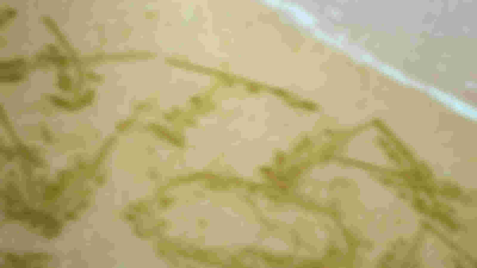 Ervaringsdeskundige inloopbegeleiders