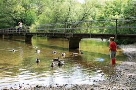 MAG (Moreton Action Group)