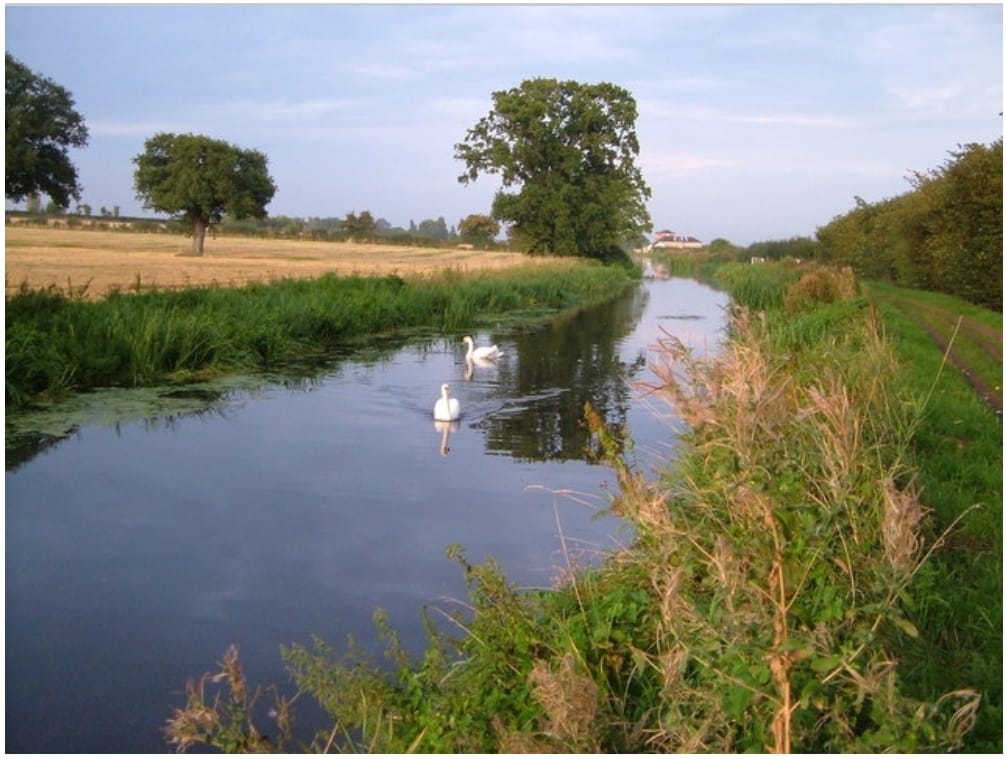 Coranvirus help Creech, Monkton Heathfield and surrounding