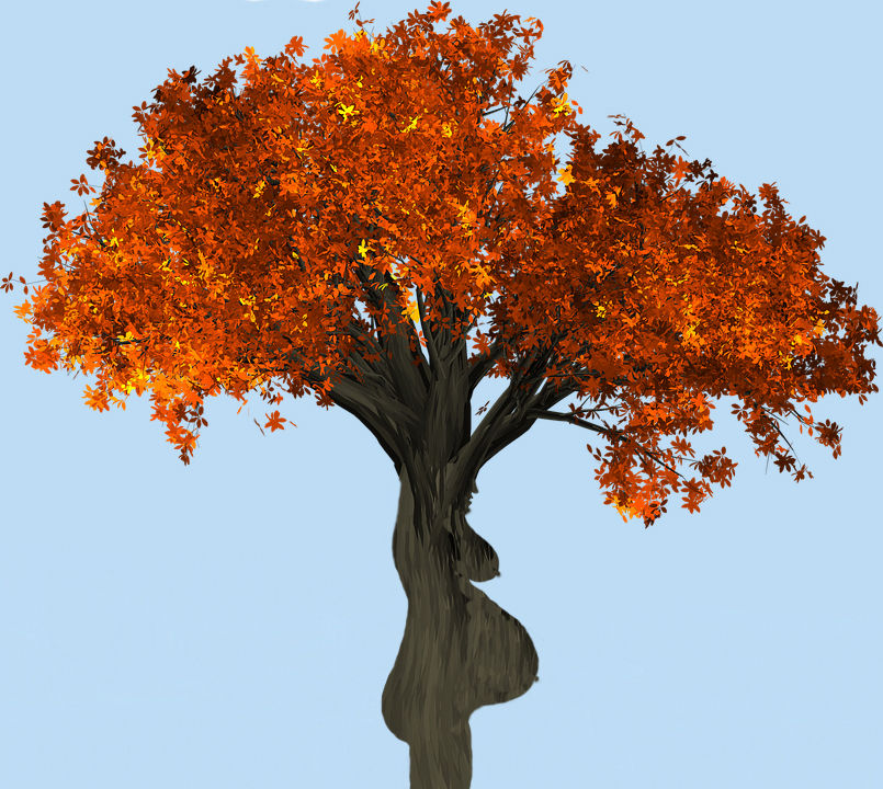 Toneelgroep Het Meertheater