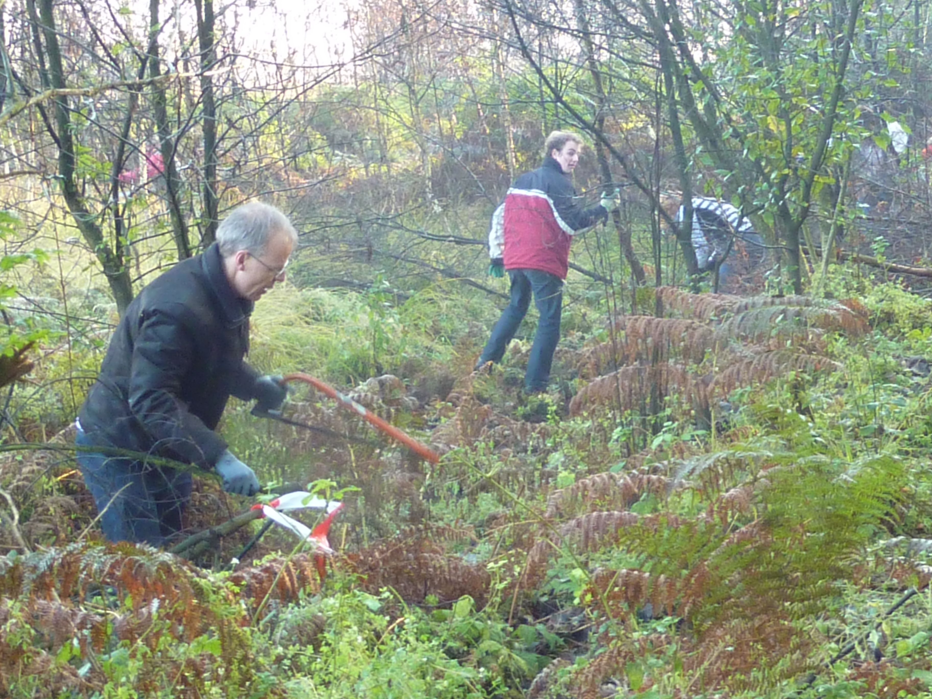 Landschap Overijssel