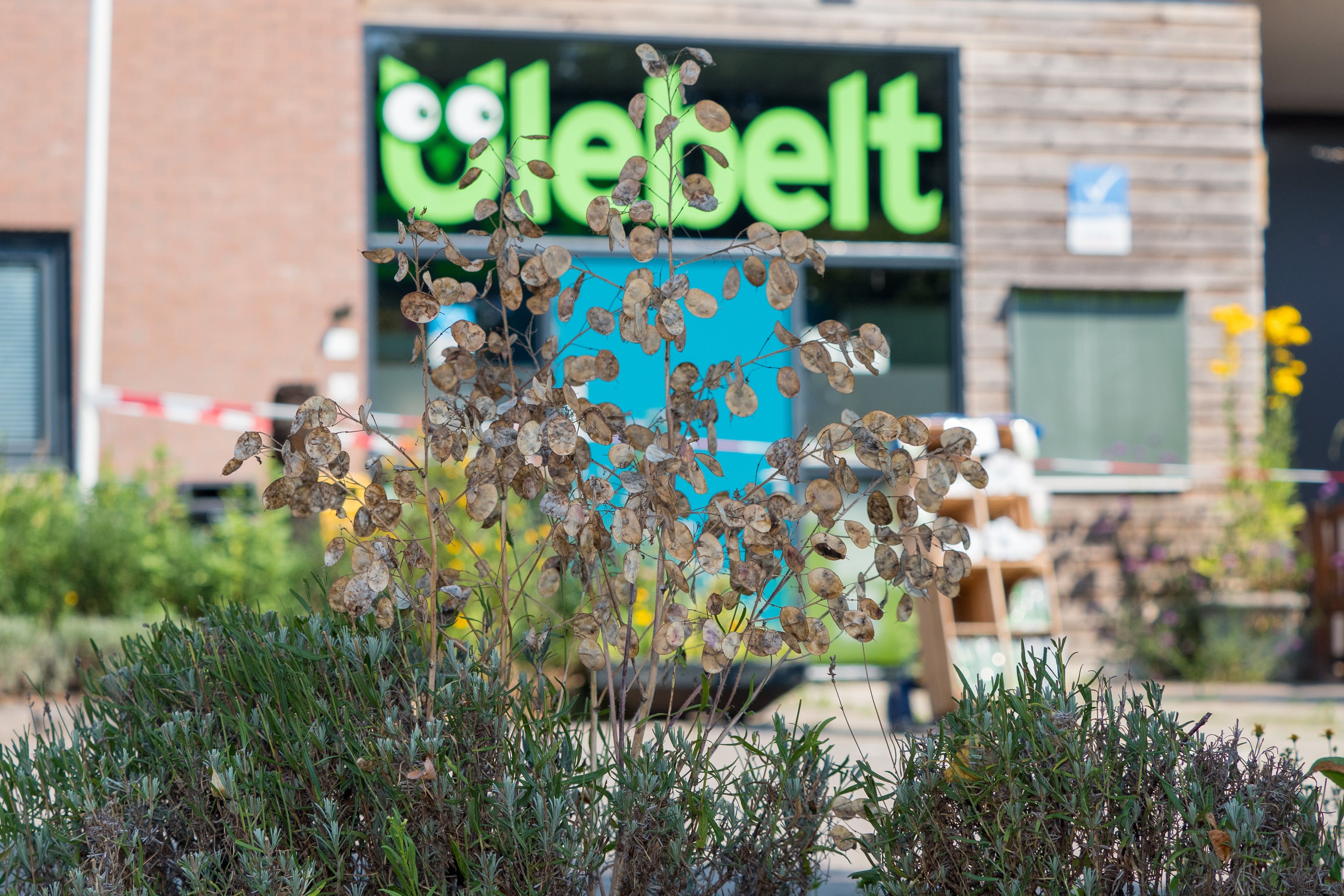 Wolspinners gezocht!