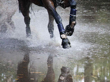 Rijvereniging Bathmen