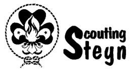 Scouting Steyn