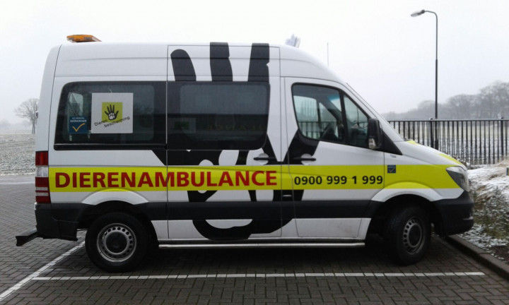 Stichting Dierenbescherming Dierenambulance OverGelder