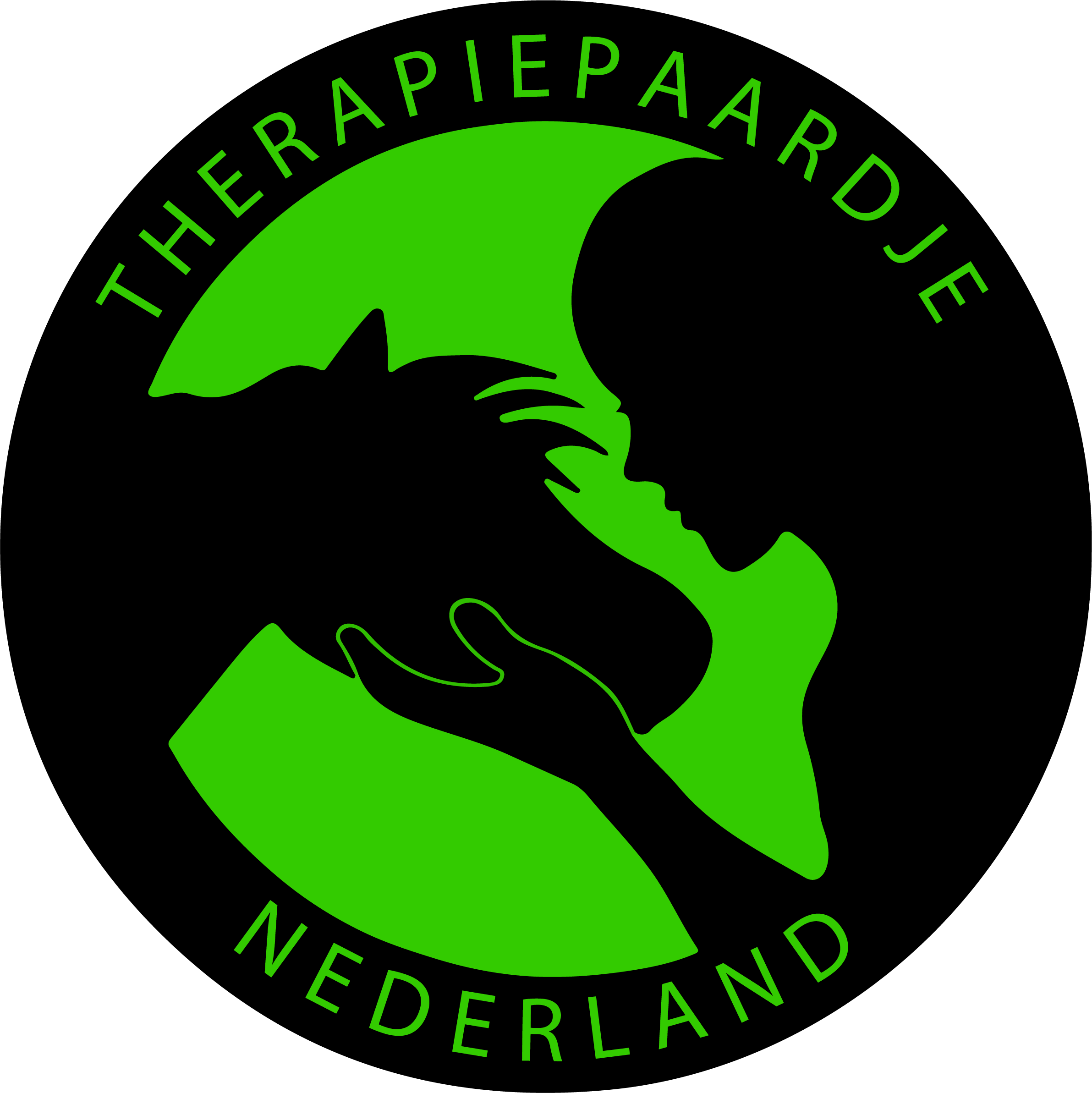 Stichting Therapiepaardje
