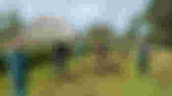 Volunteers Rottige Meente (Nijetrijne)