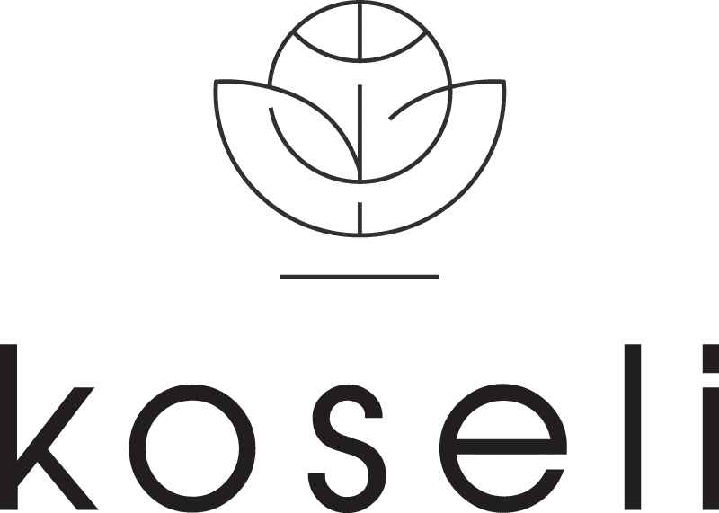 Koseli B.V