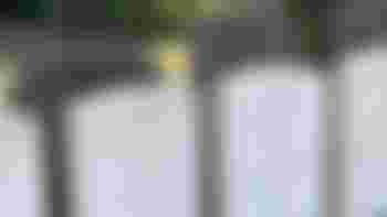 Kom jij helpen met het onderhoud van onze oude begraafplaats?