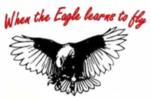 When The Eagle Learns To Fly