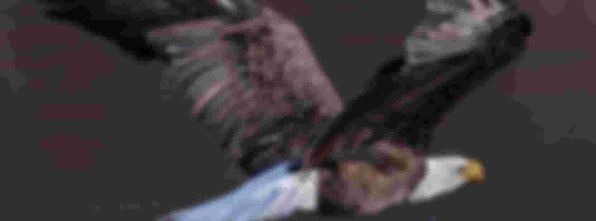 Verbinder gezocht in de vorm van een voorzitter