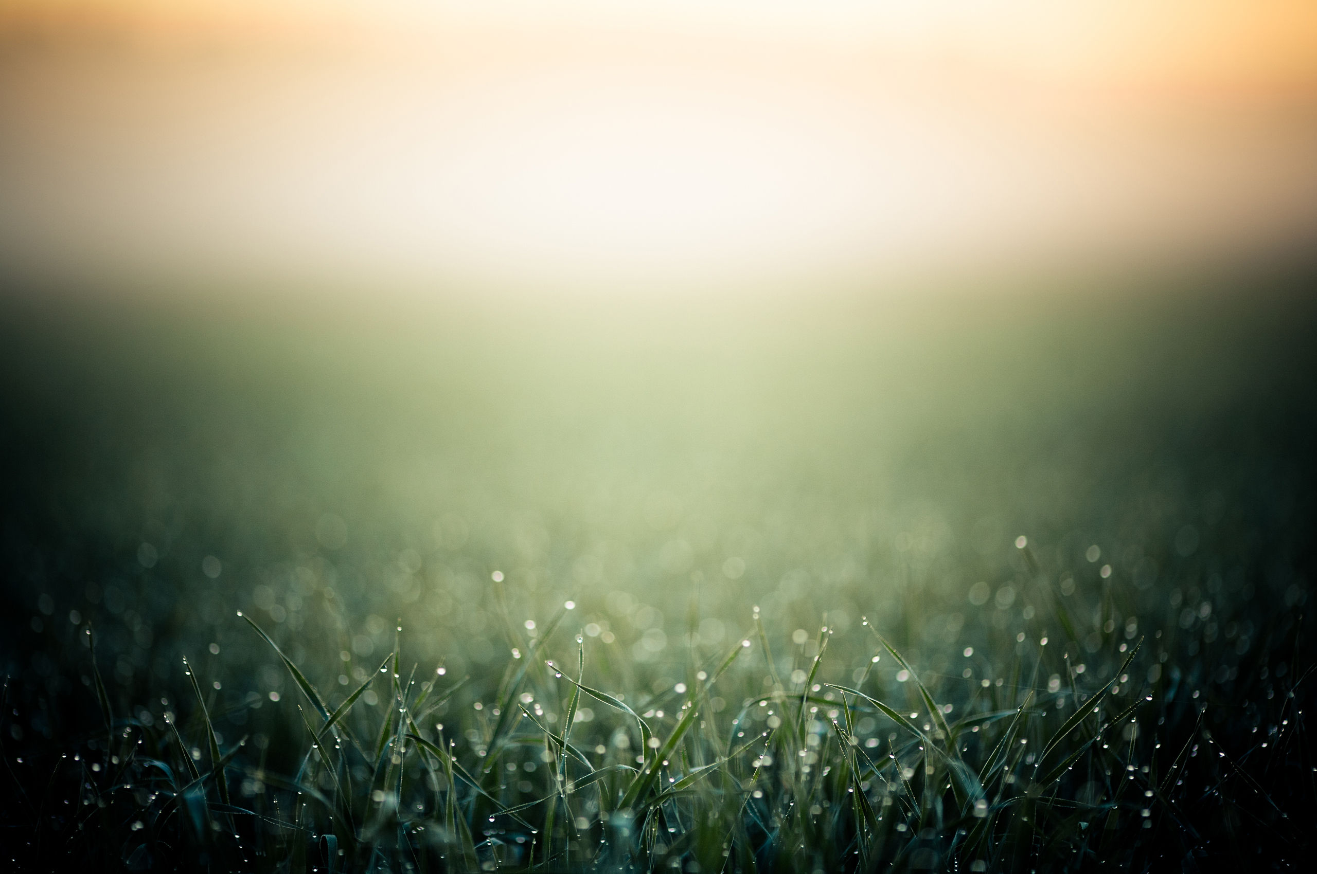 St. Opvang Konijnenparadijs