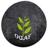 Stichting Ojodu Grassroots Alternatives Foundation