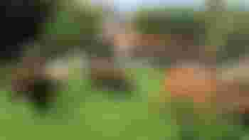 Bestuurslid algemeen