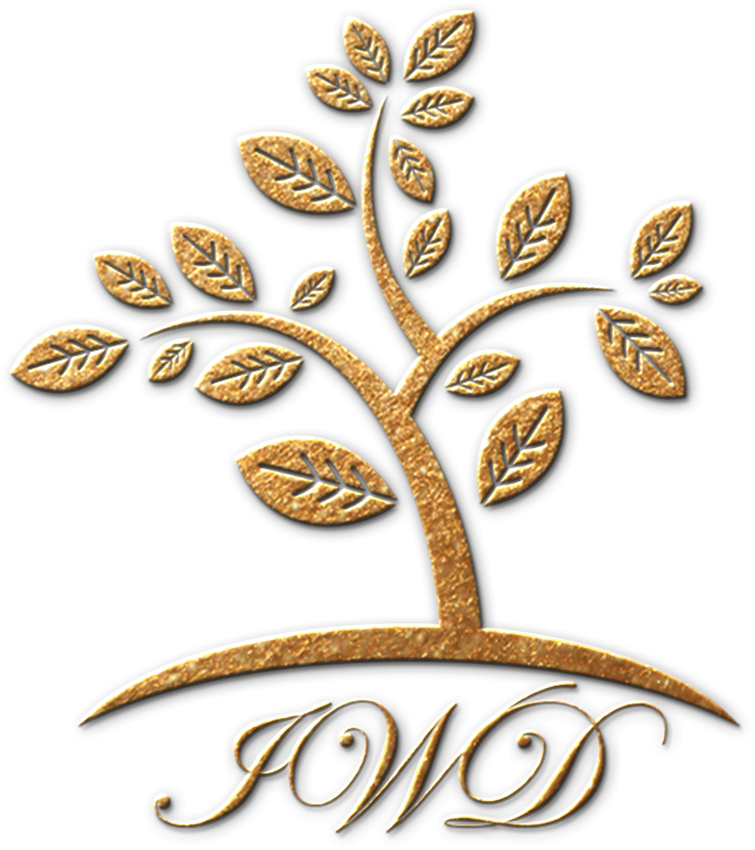 International Women For Development Foundation