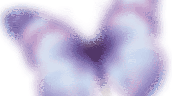 Butterfly effect Exeter