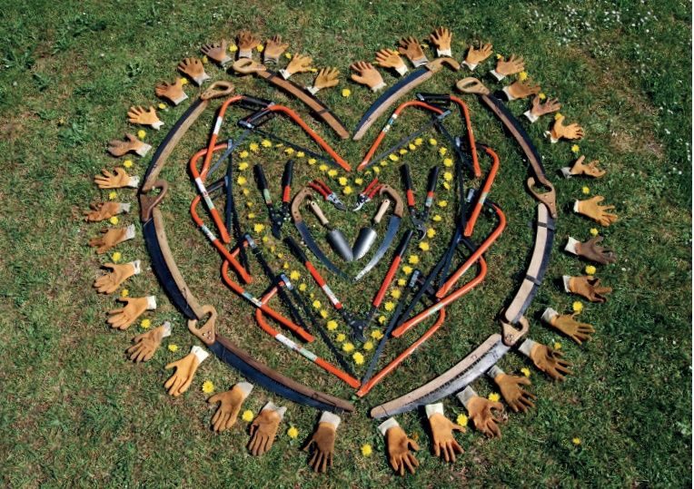 Landschap Overijssel