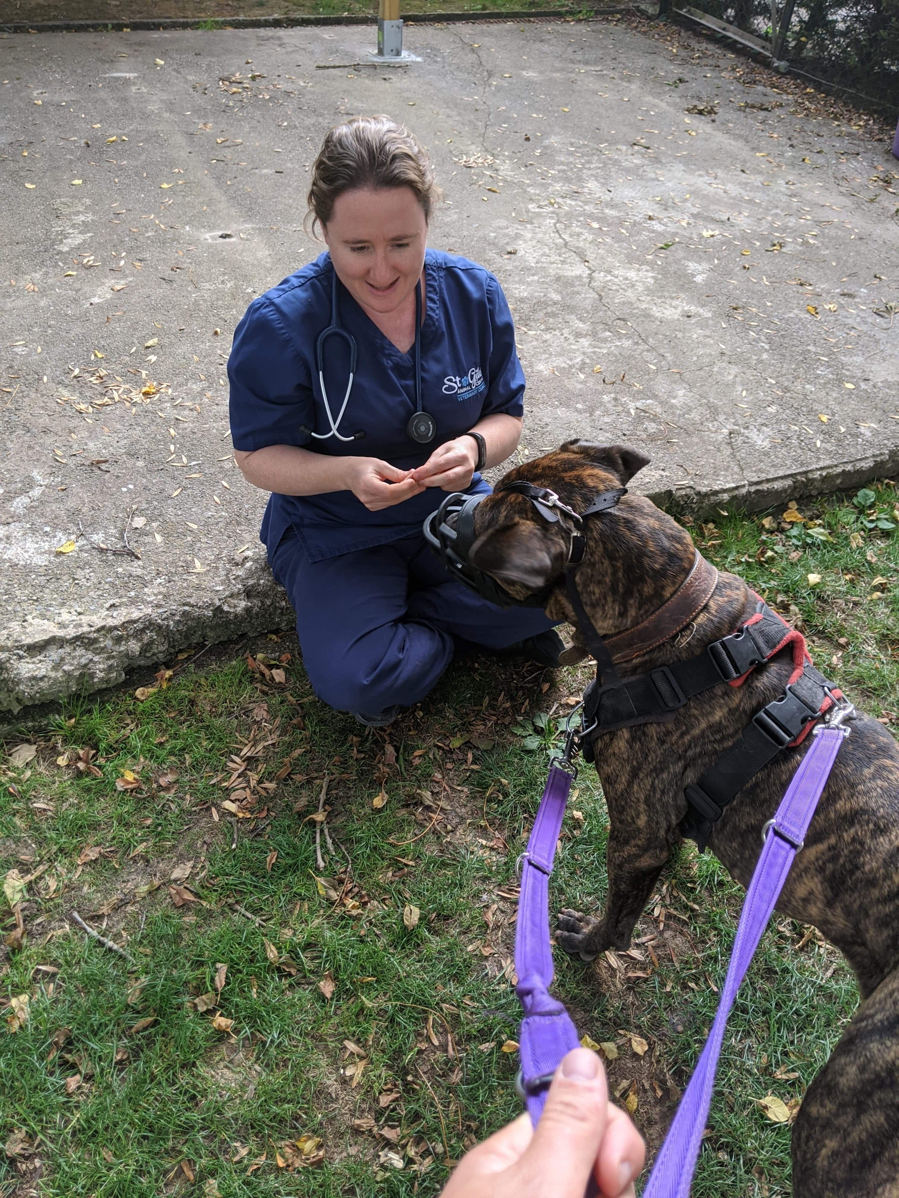 20200910_172727096_iOS