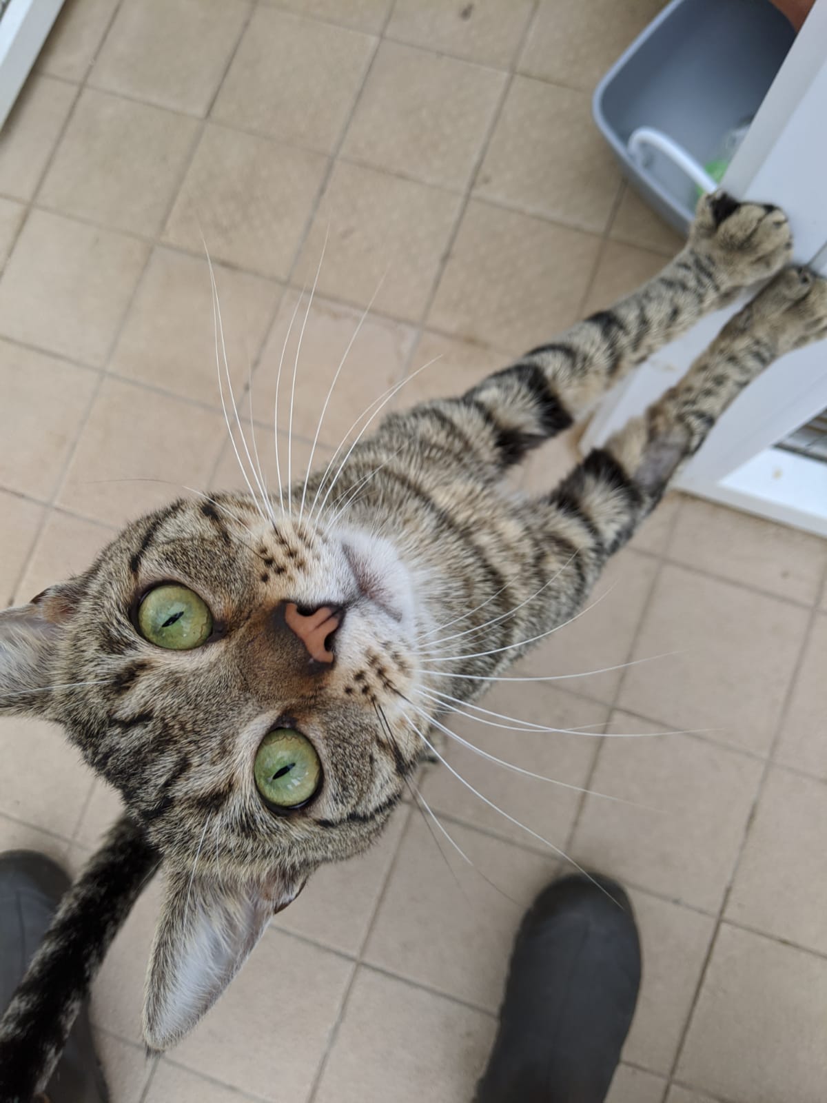 20200708_194708000_iOS