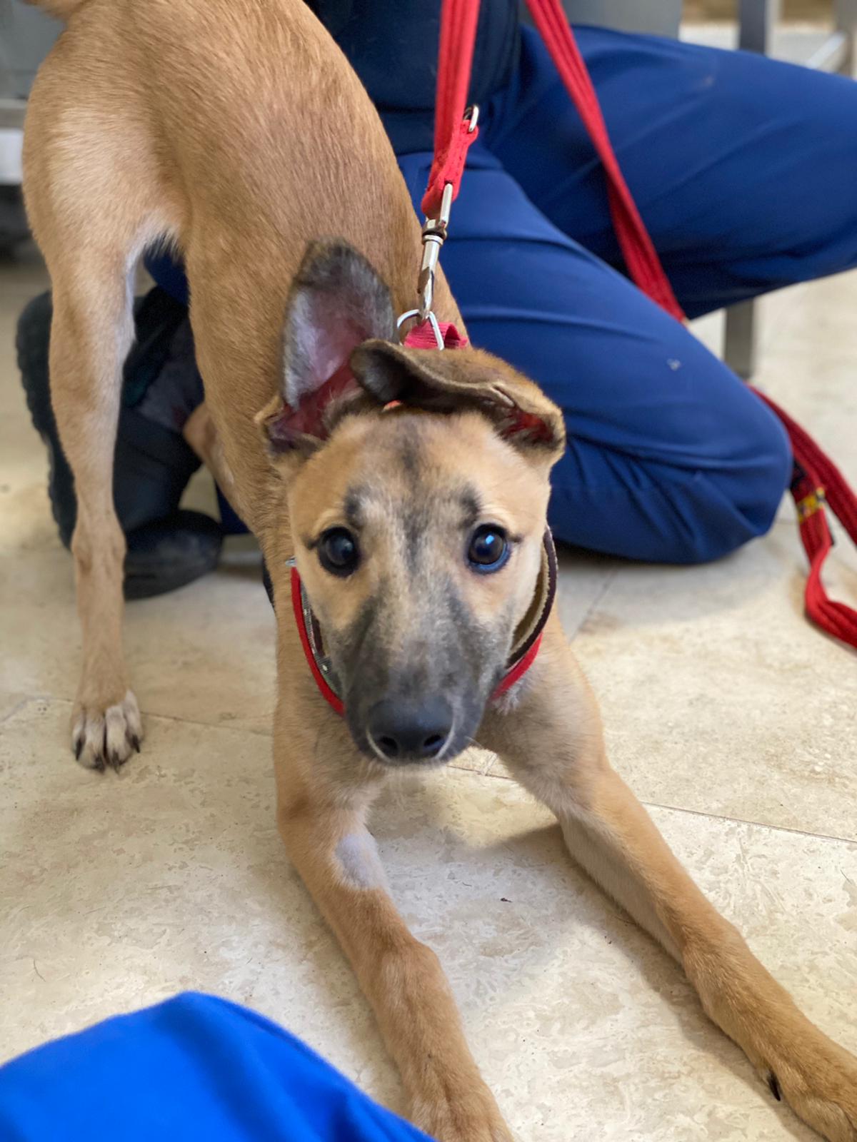 20210106_180503000_iOS