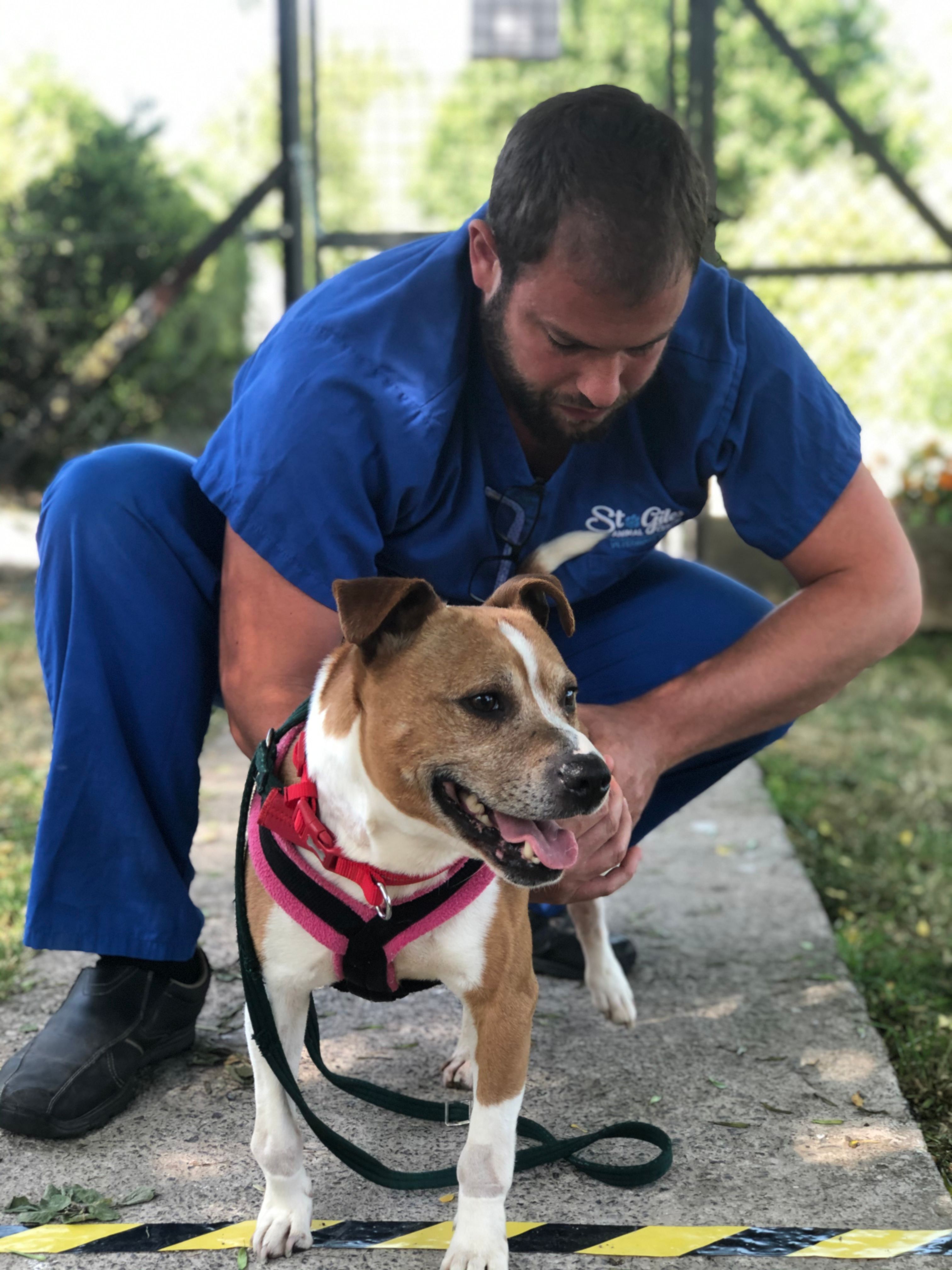 20200528_095629667_iOS