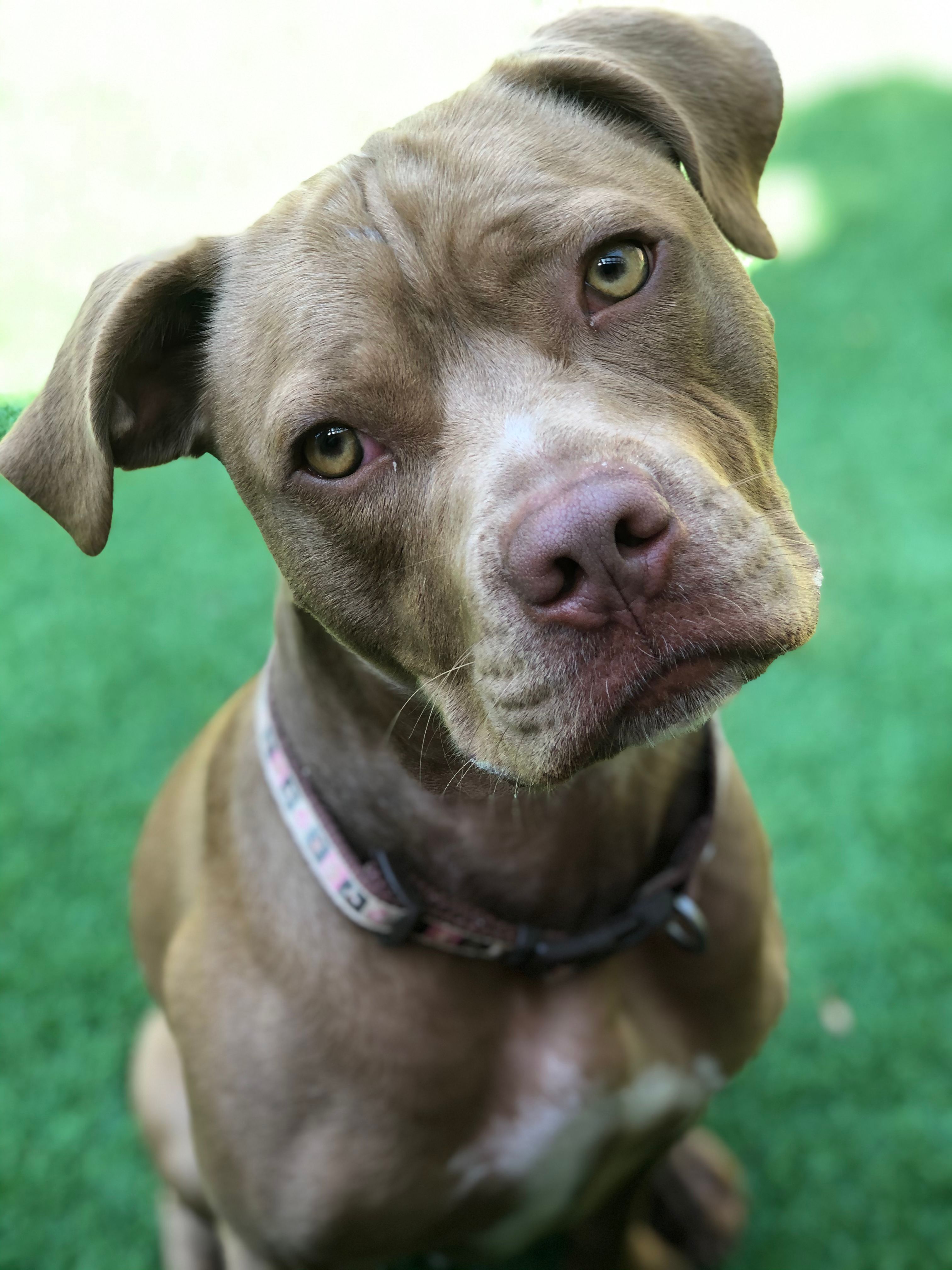 20200812_095032802_iOS