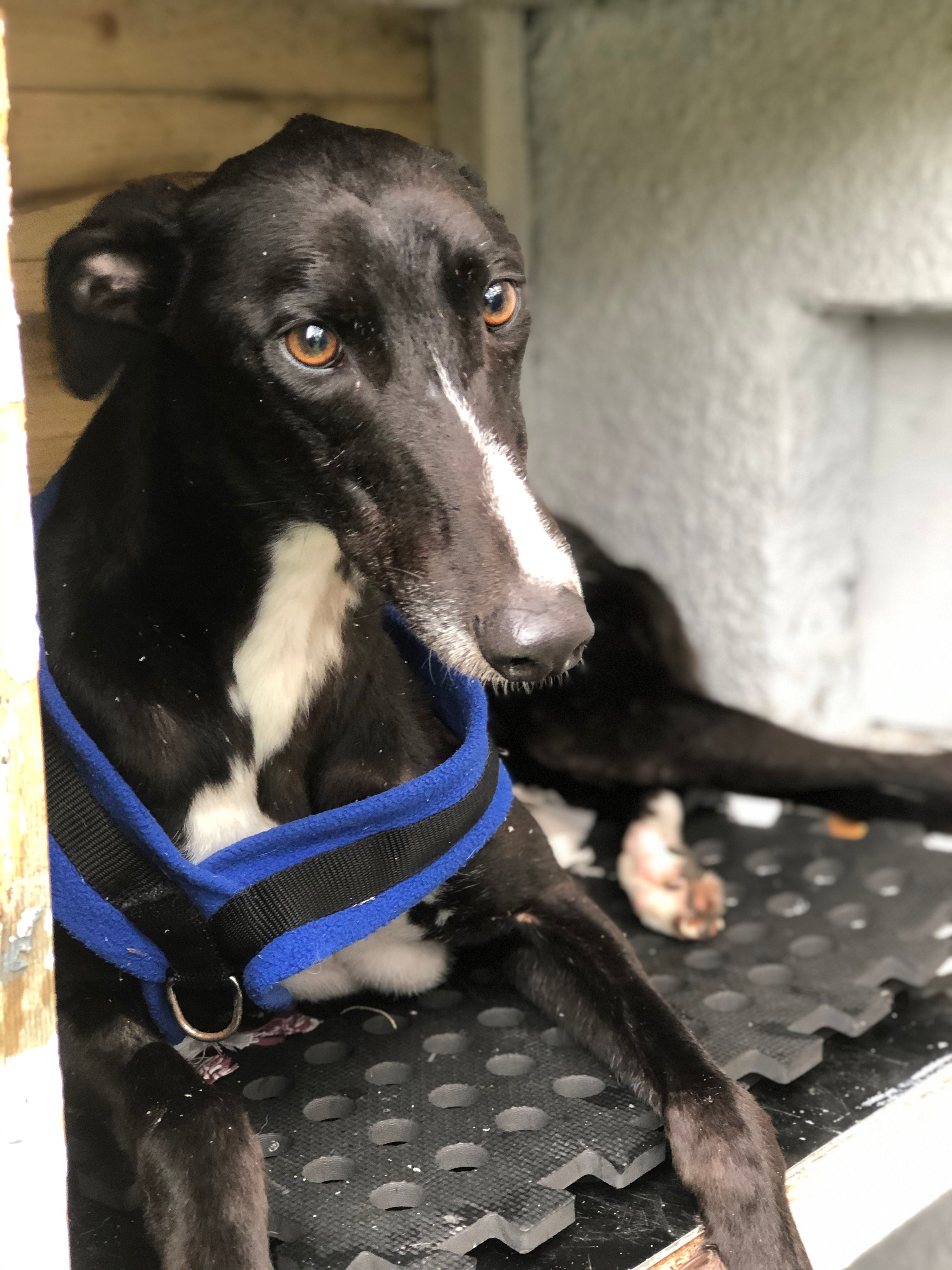 20200827_101503648_iOS