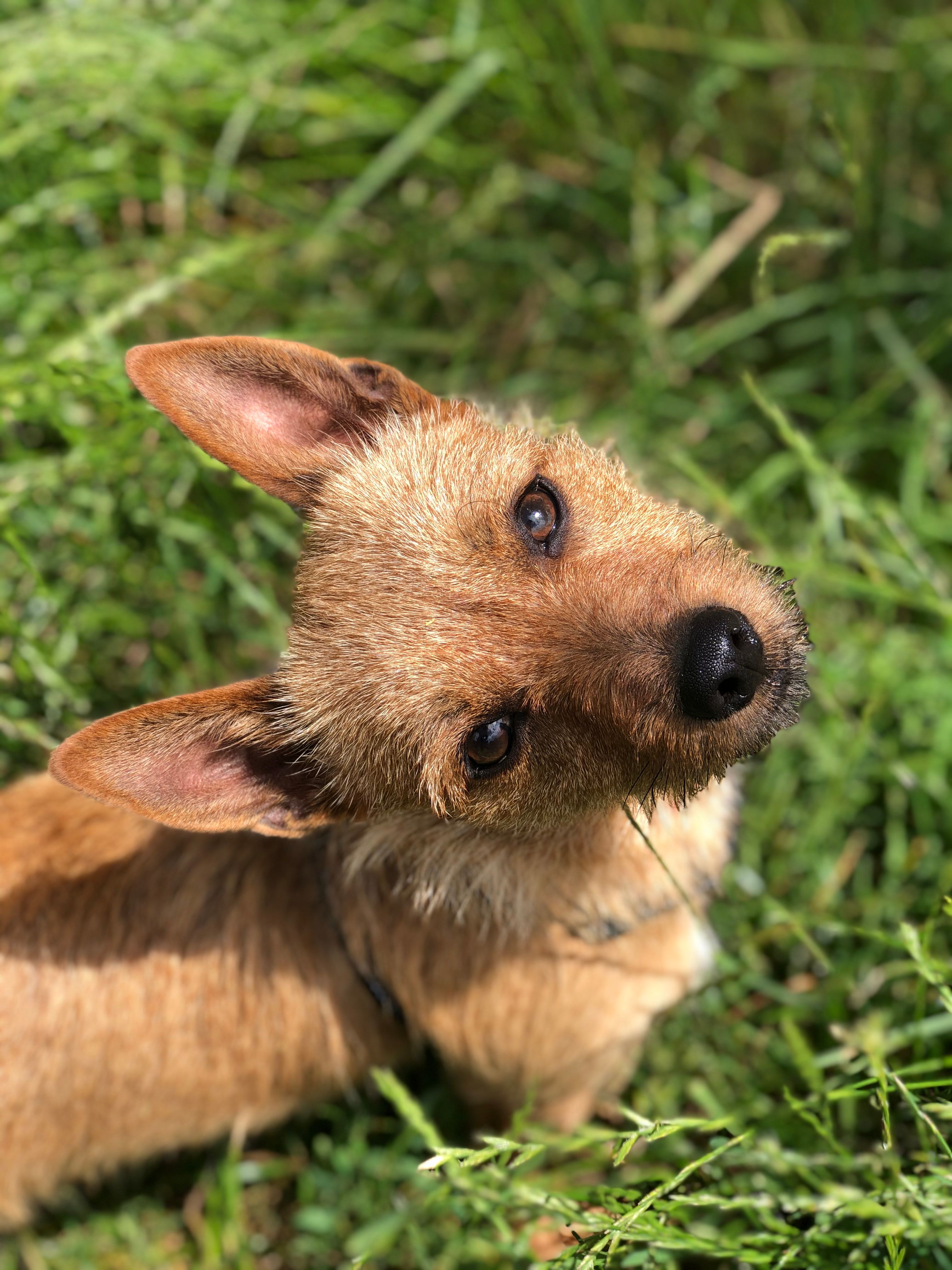 20200628_125941826_iOS