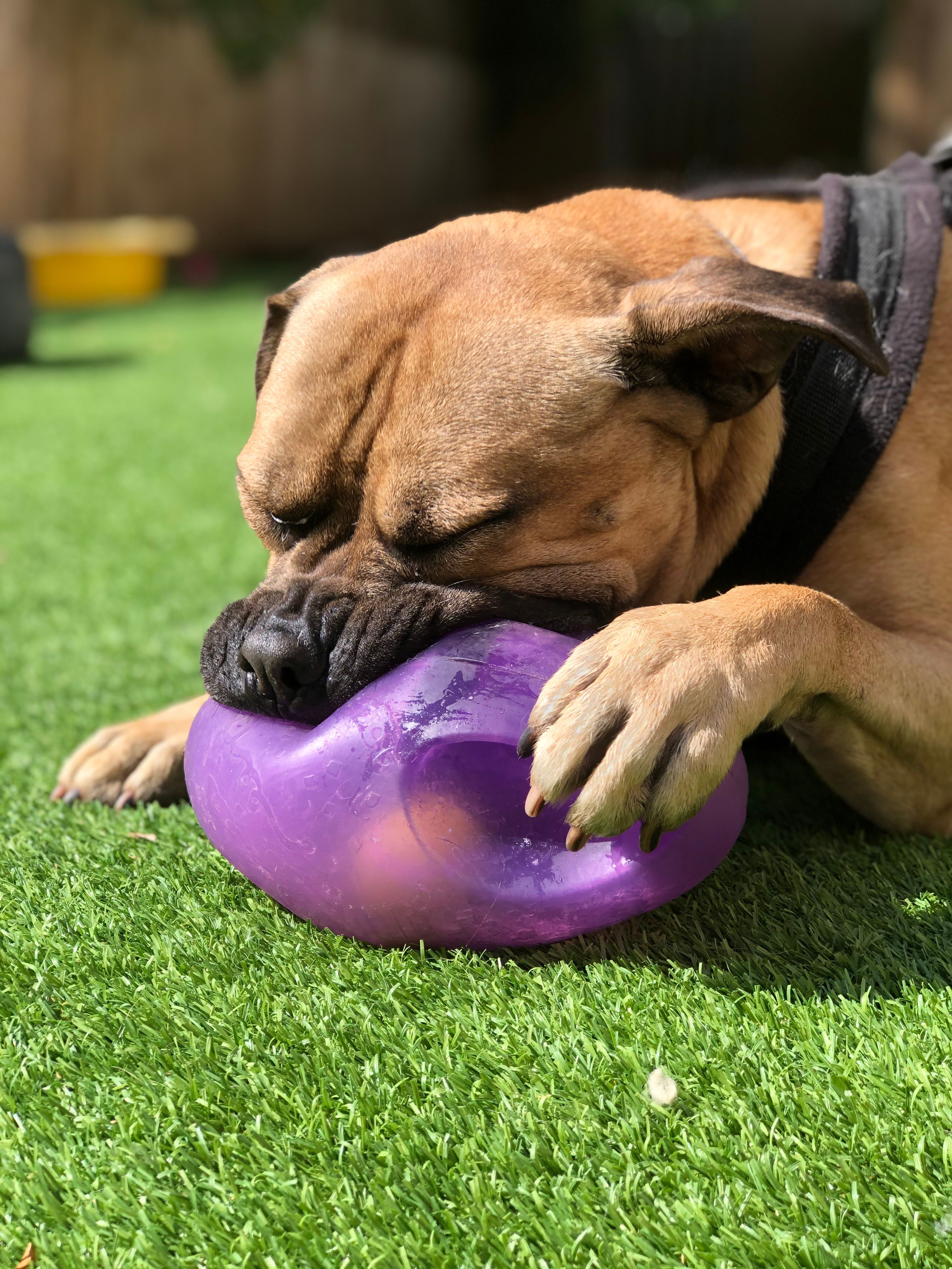 20200719_152531494_iOS