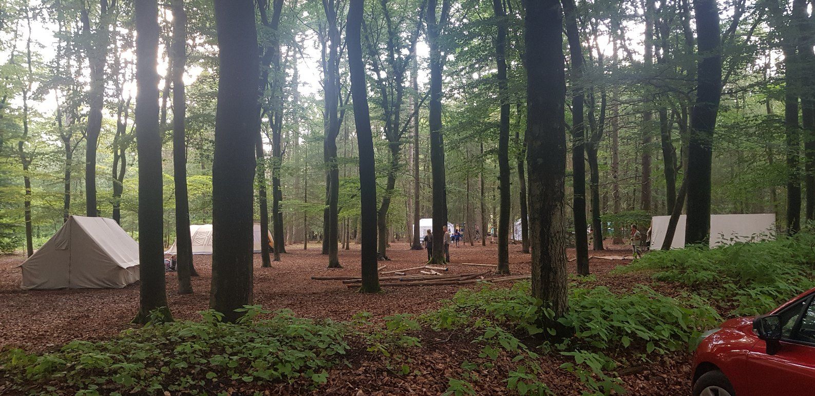 4bd60be04a02a6234cbe68364f50d02d_20190720_191905