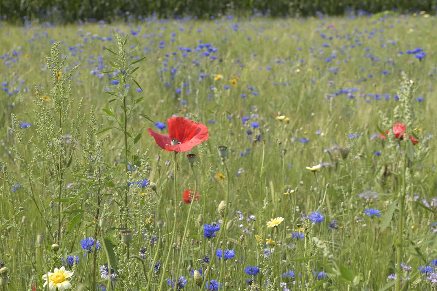 Hospice Leendert Vriel Enschede Haaksbergen